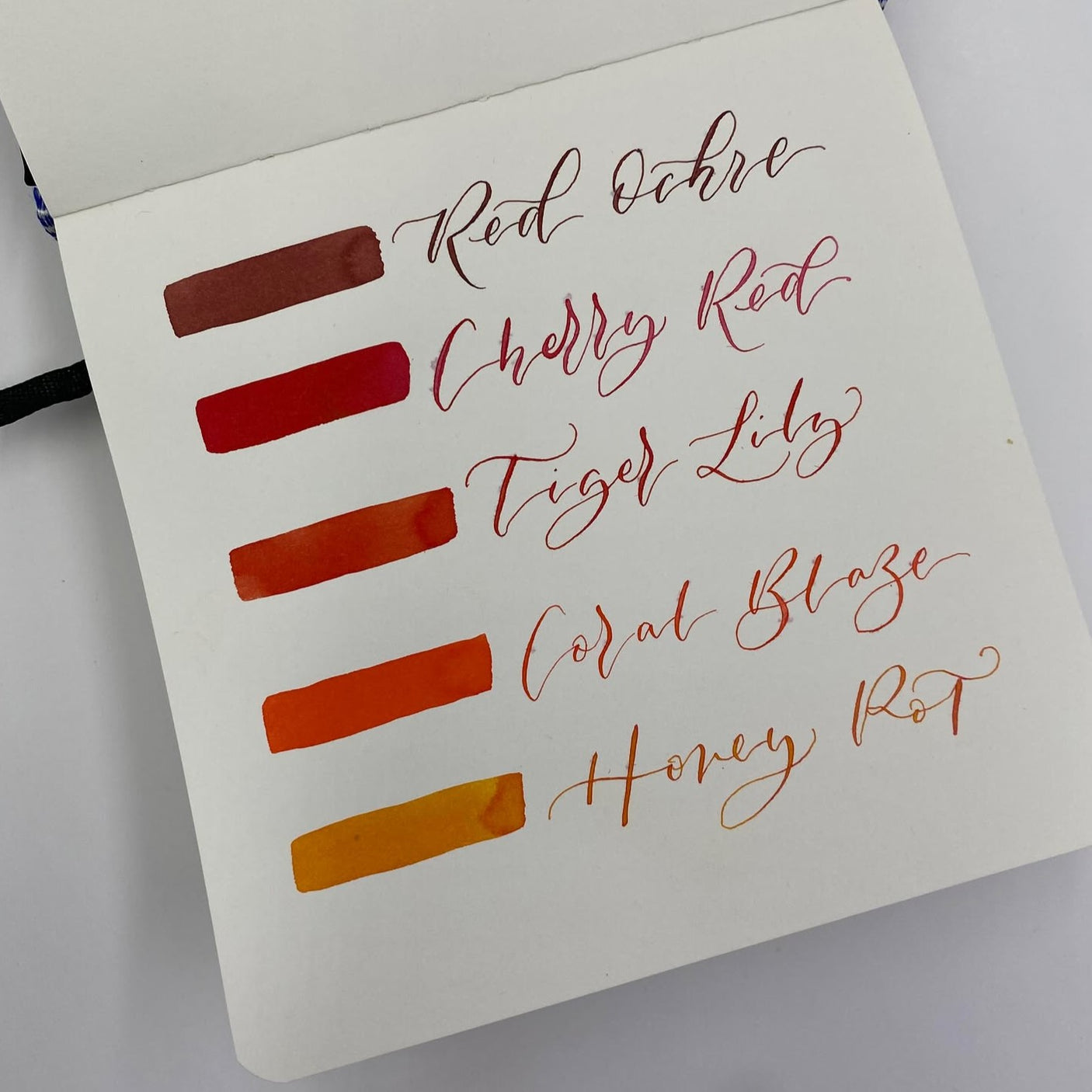 Diamine Forever Ink Permanent Pigment Fountain Pen Ink 50ml