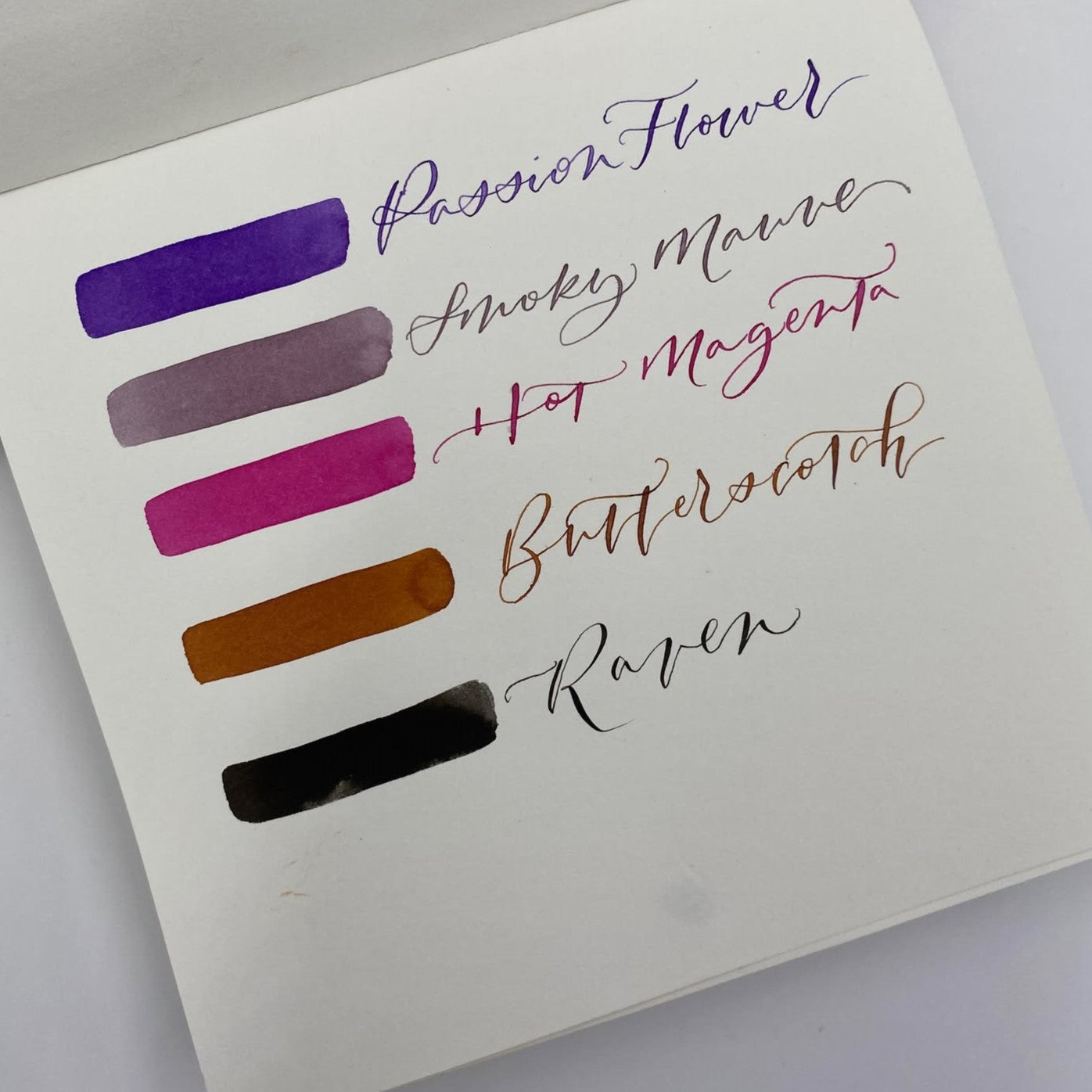 Diamine Forever Ink Permanent Pigment Fountain Pen Ink 50ml