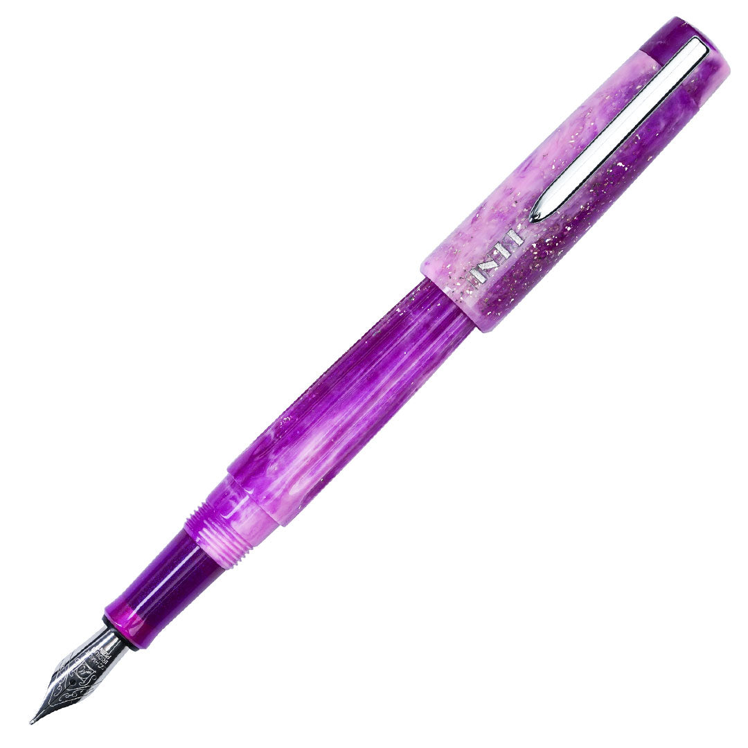 Benu DailyMate Fountain Pen Exciting Friday