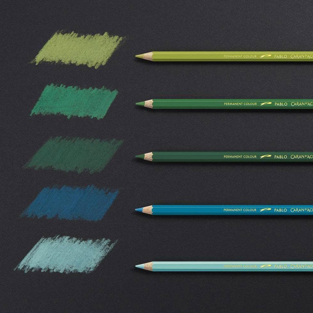 Caran d'Ache Pablo Artists Permanent Colour Pencil Assorted Tin of 120