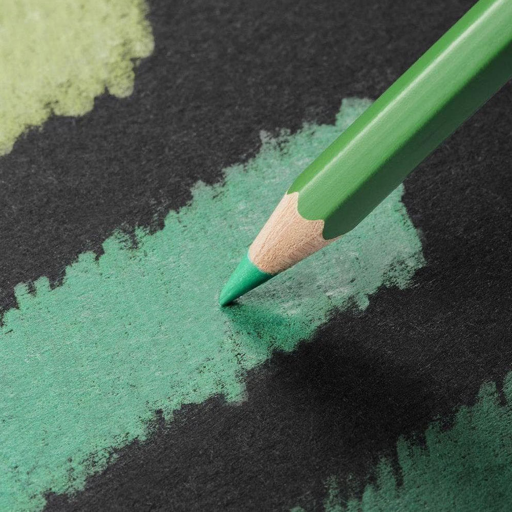 Caran d'Ache Pablo Artists Permanent Colour Pencil Assorted Tin of 120