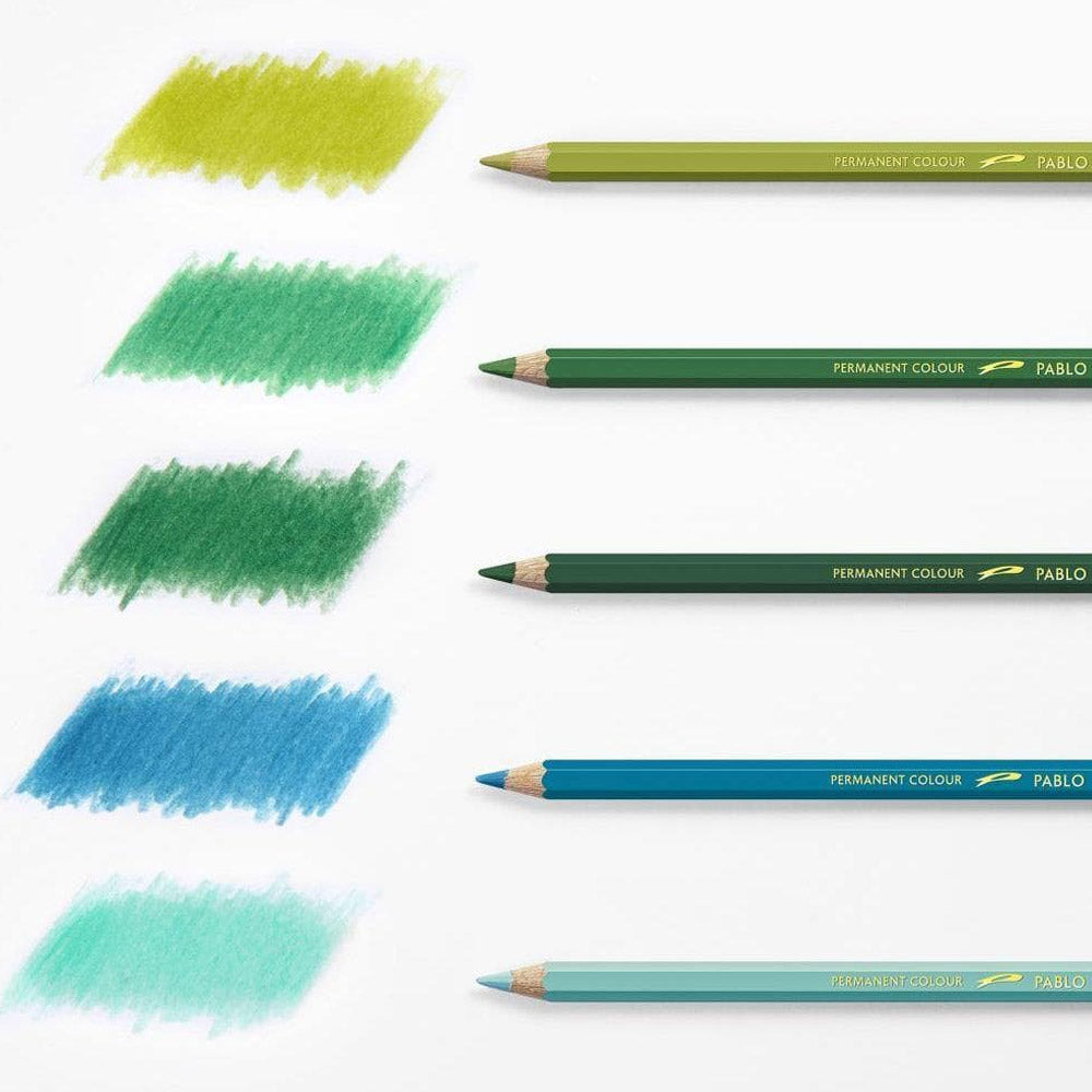 Caran d'Ache Pablo Artists Permanent Colour Pencil Assorted Tin of 120