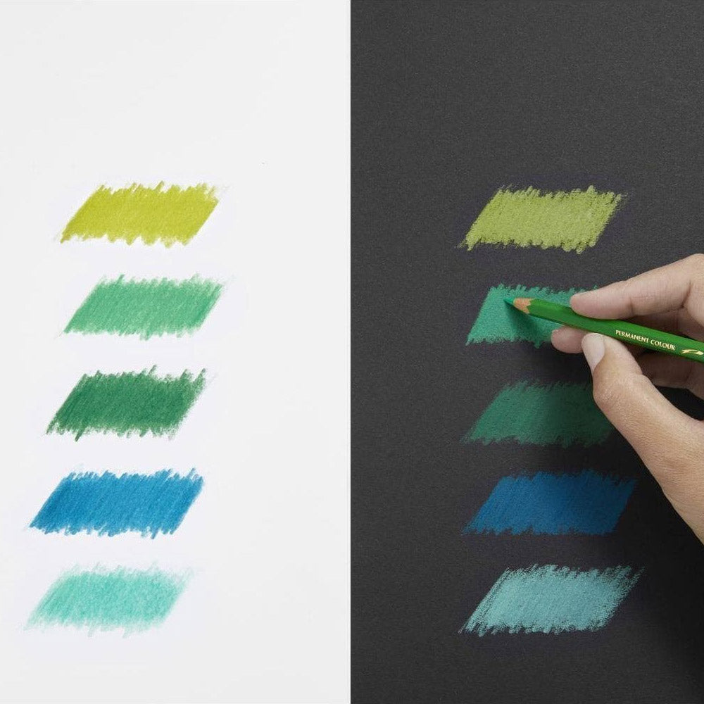 Caran d'Ache Pablo Artists Permanent Colour Pencil Assorted Tin of 120