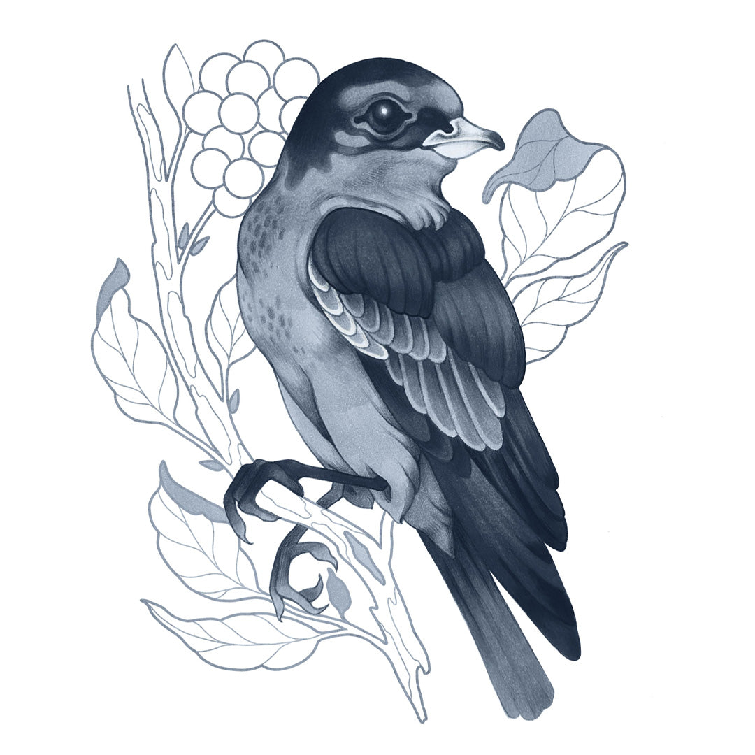 Copic Ciao (Shade) Set of 4