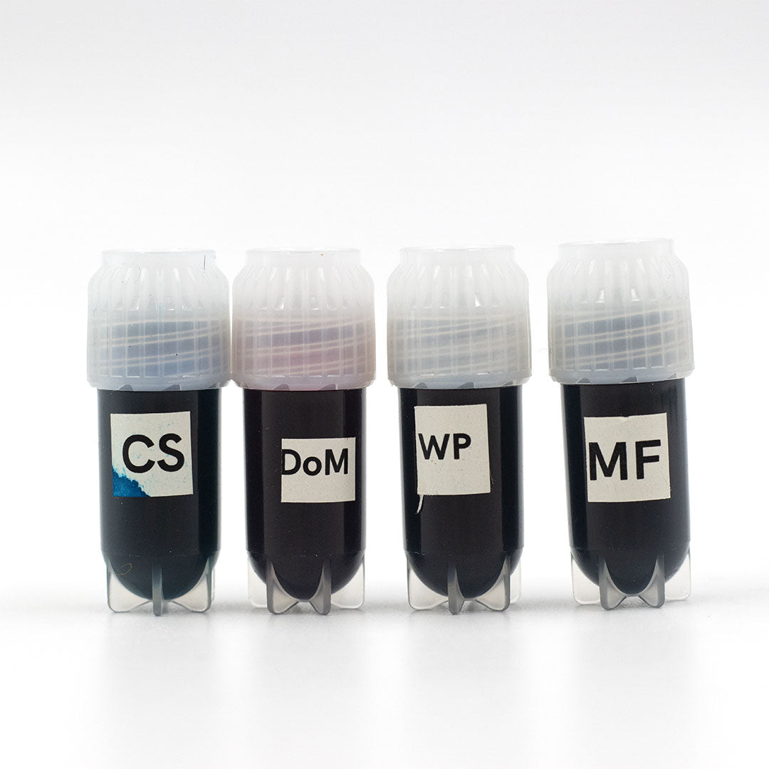 Endless Alchemy Fountain Pen Ink Sampler