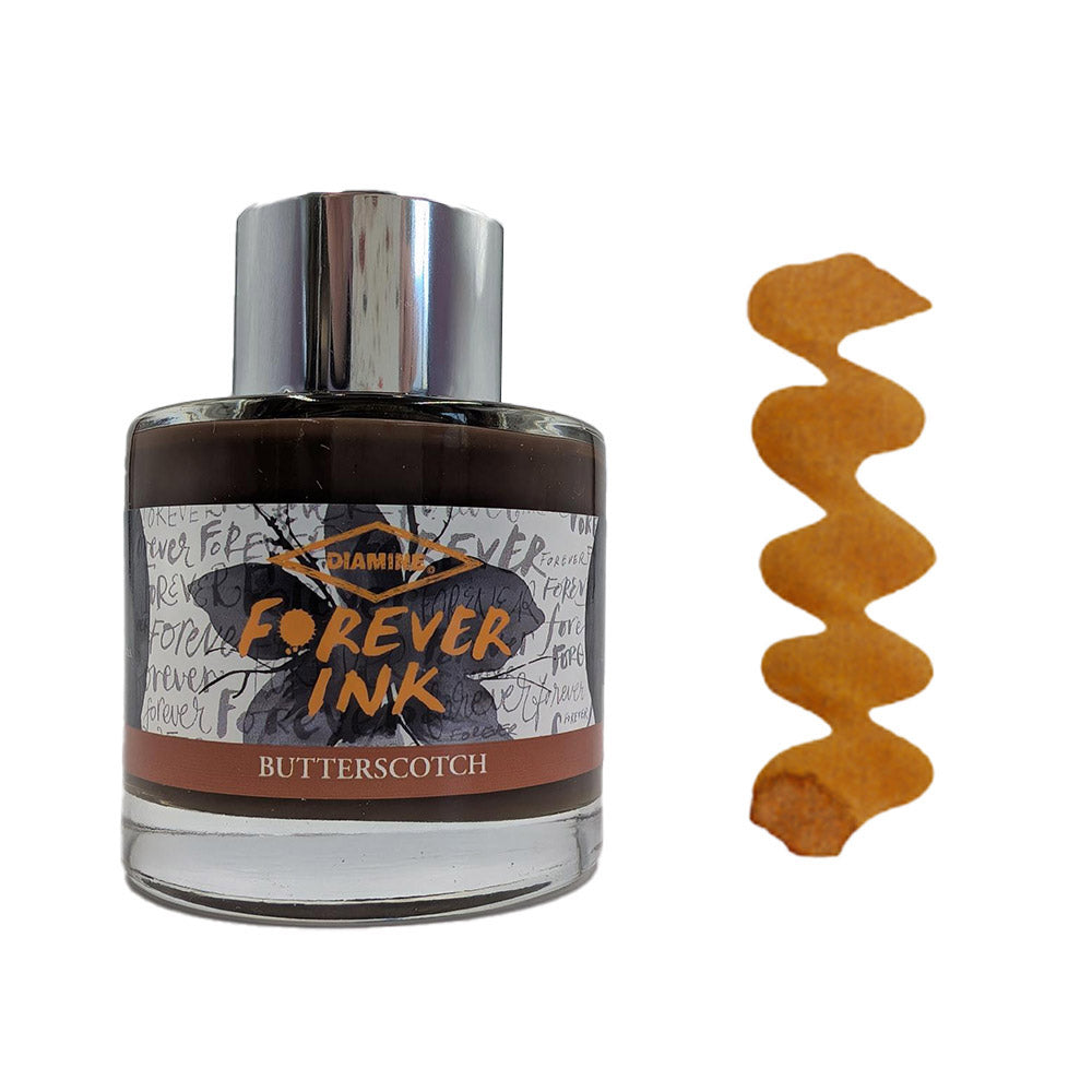 Diamine Forever Ink Permanent Pigment Fountain Pen Ink 50ml
