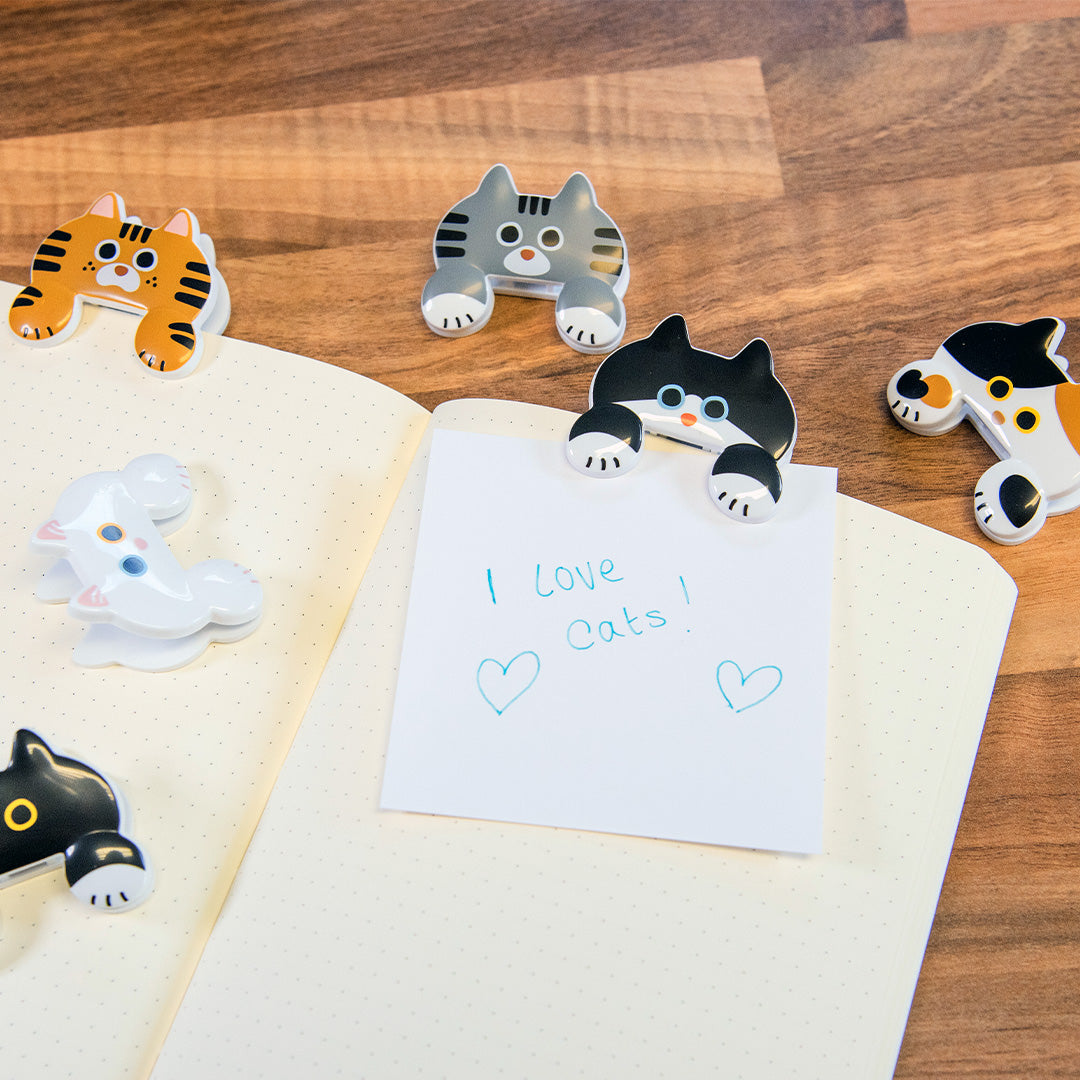 Sun-Star Jittome Clip