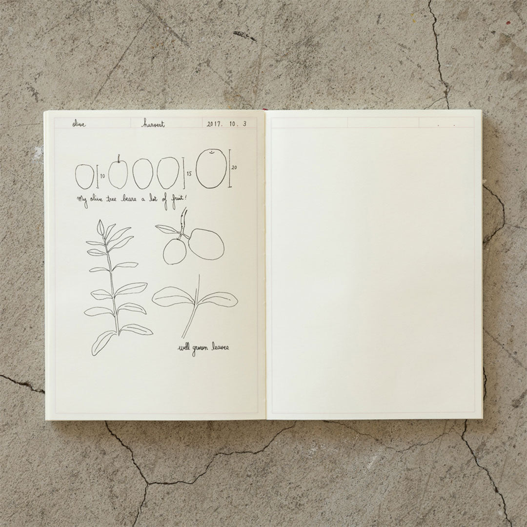 Midori MD Notebook Journal A5
