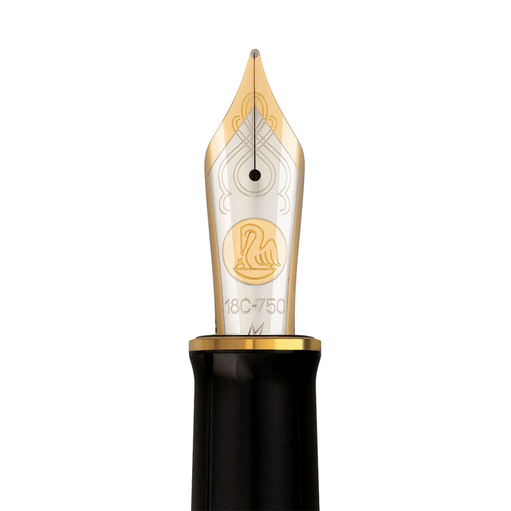 Pelikan Souveran M1000 Fountain Pen Raden Stardust Limited Edition