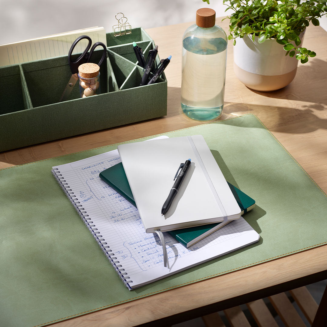 Pilot FriXion Ball Plus