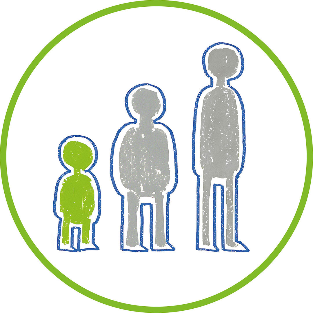 STABILO woody 3 in 1 Birthday Edition Set of 6 Tiger