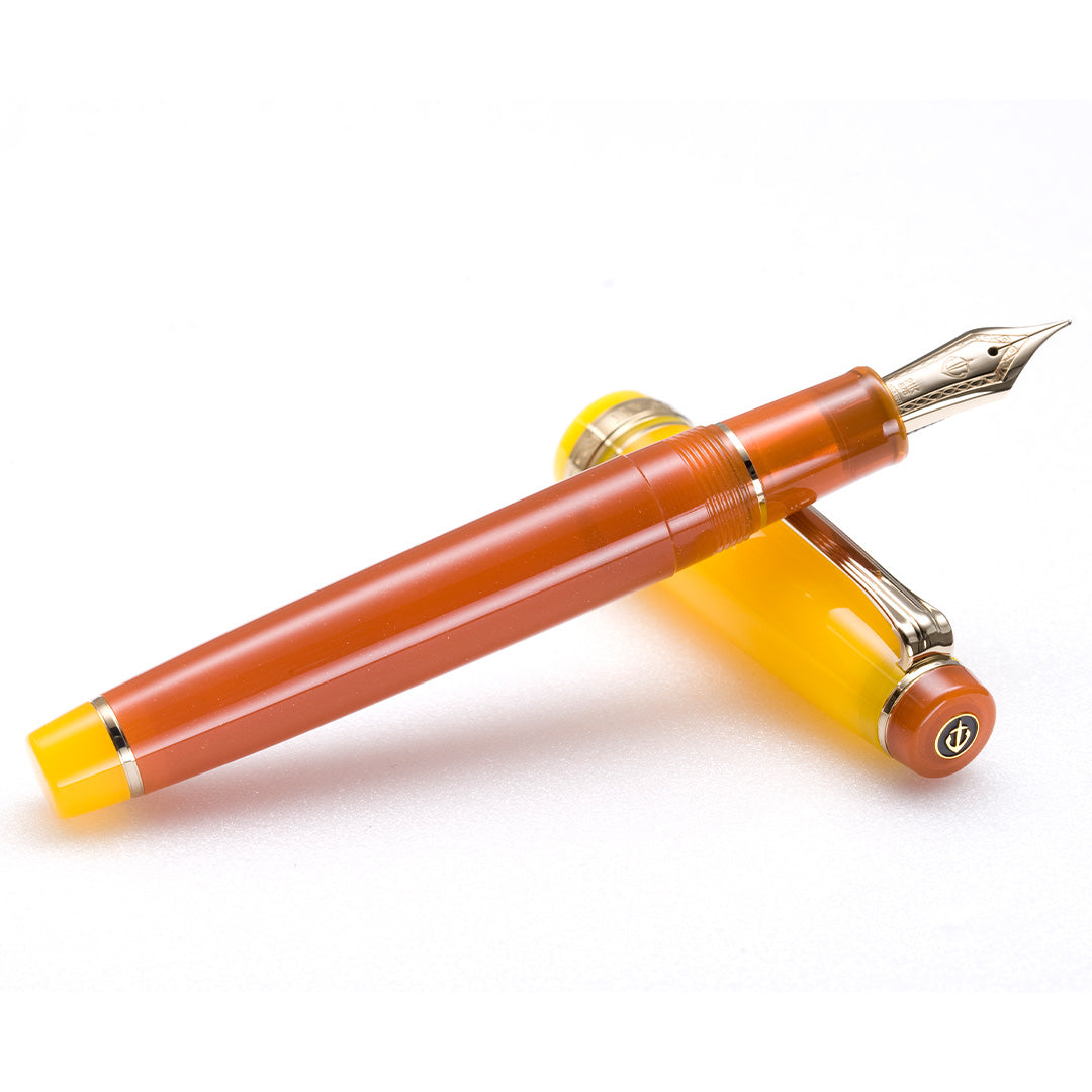 Sailor Professional Gear Regular Fountain Pen Moonlight Over the Ocean 21K Nib by Sailor at Cult Pens