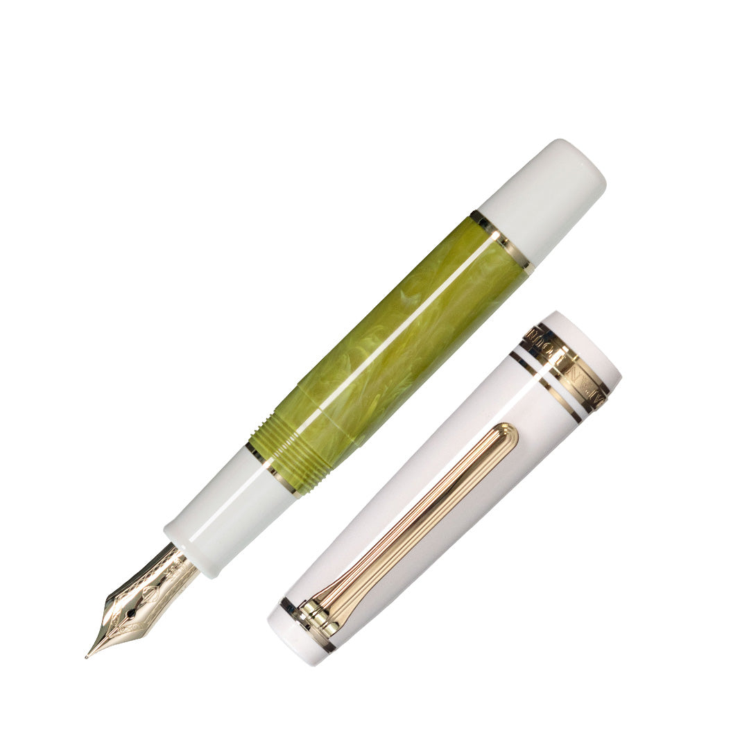 Sailor Professional Gear Slim Mini Rencontre Limited Edition Fountain Pen Pistache 14k Nib
