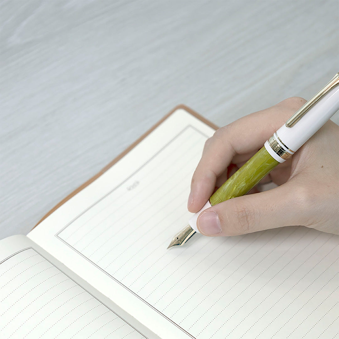 Sailor Professional Gear Slim Mini Rencontre Limited Edition Fountain Pen Pistache 14k Nib