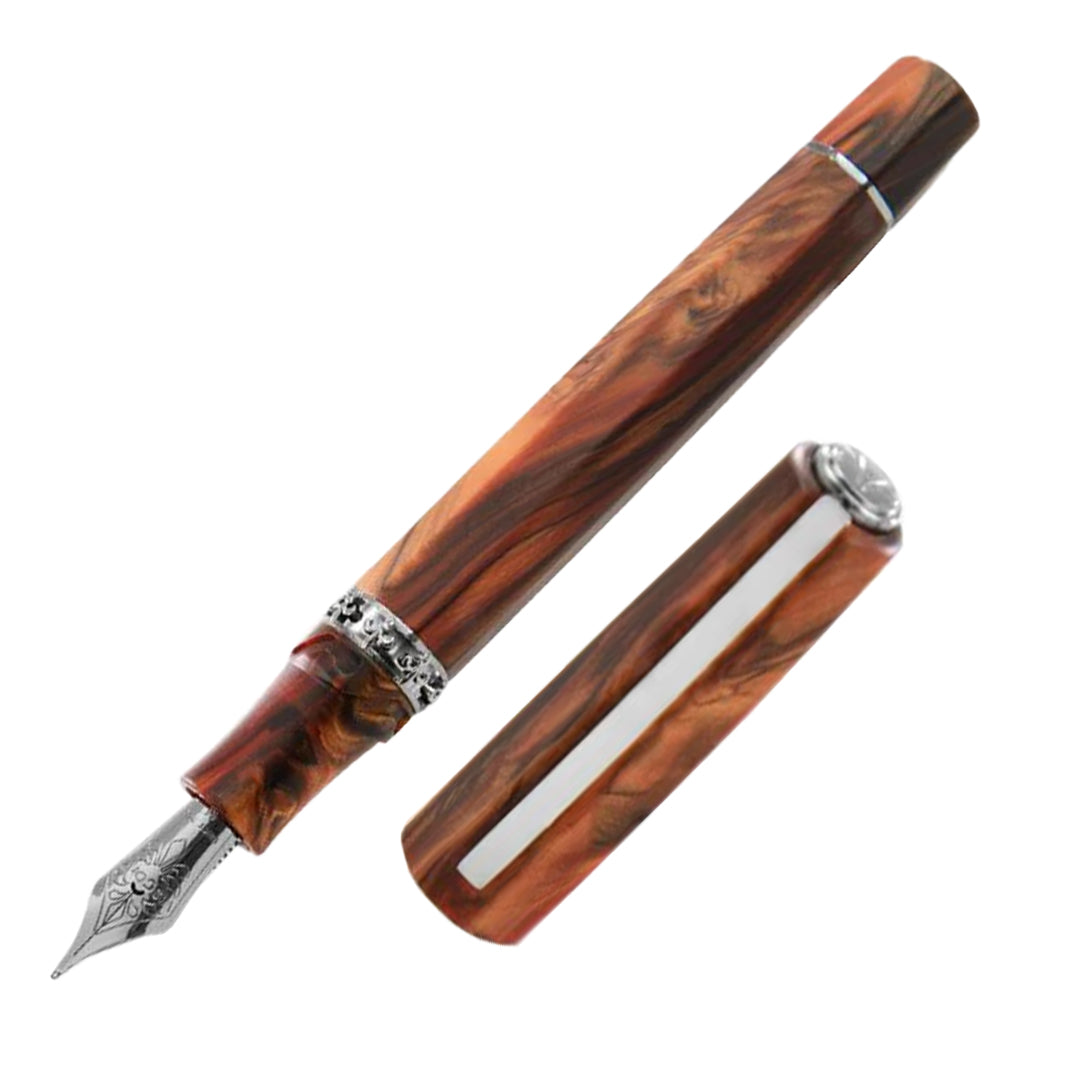 Visconti Medici Radica DS Ruthenium Fountain Pen 18k Medium Nib