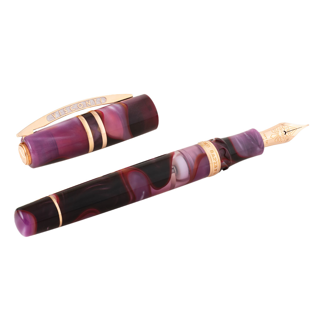 Visconti Homo Sapiens Iris Garden Fountain Pen