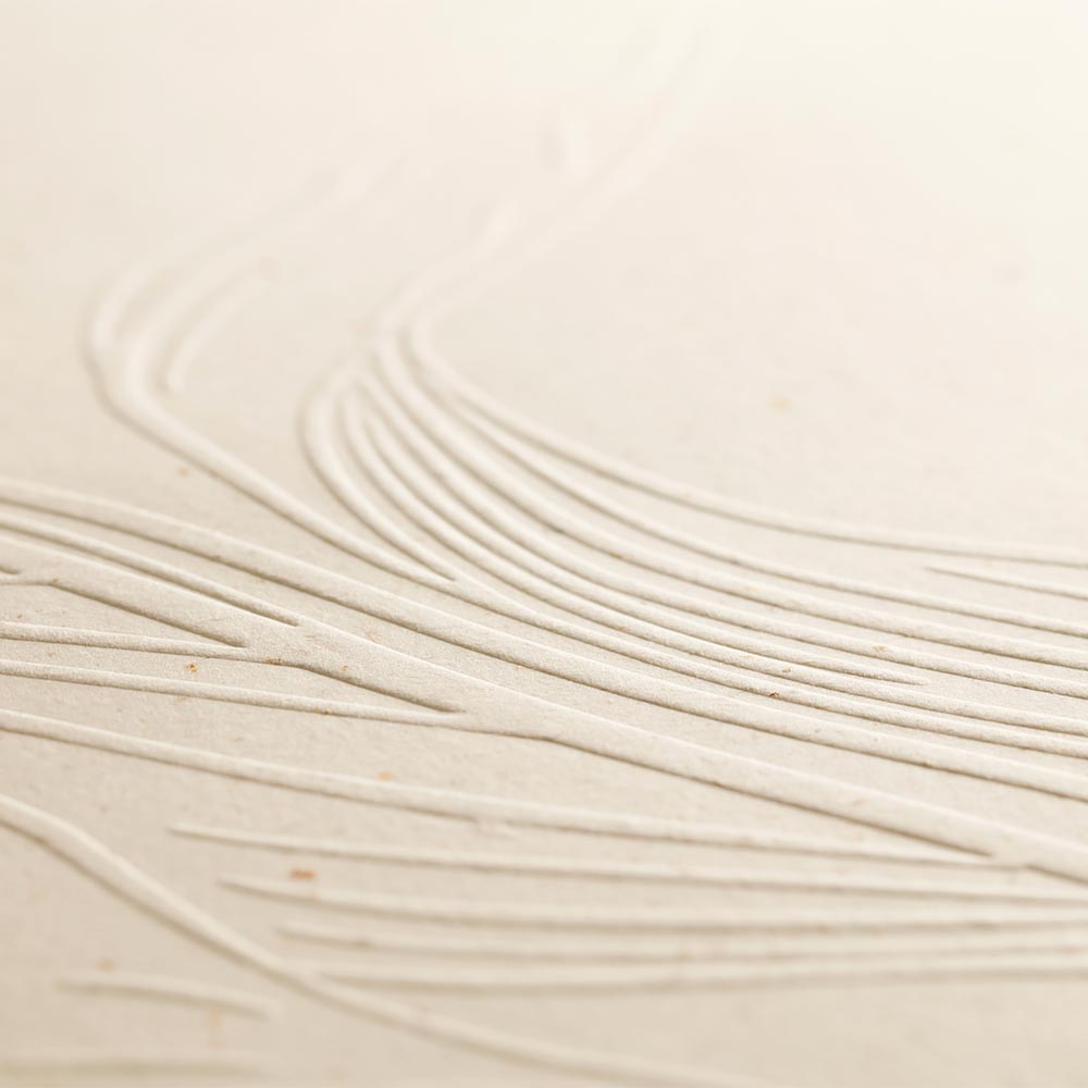 Clairefontaine Tulip Paper Stationery Kit