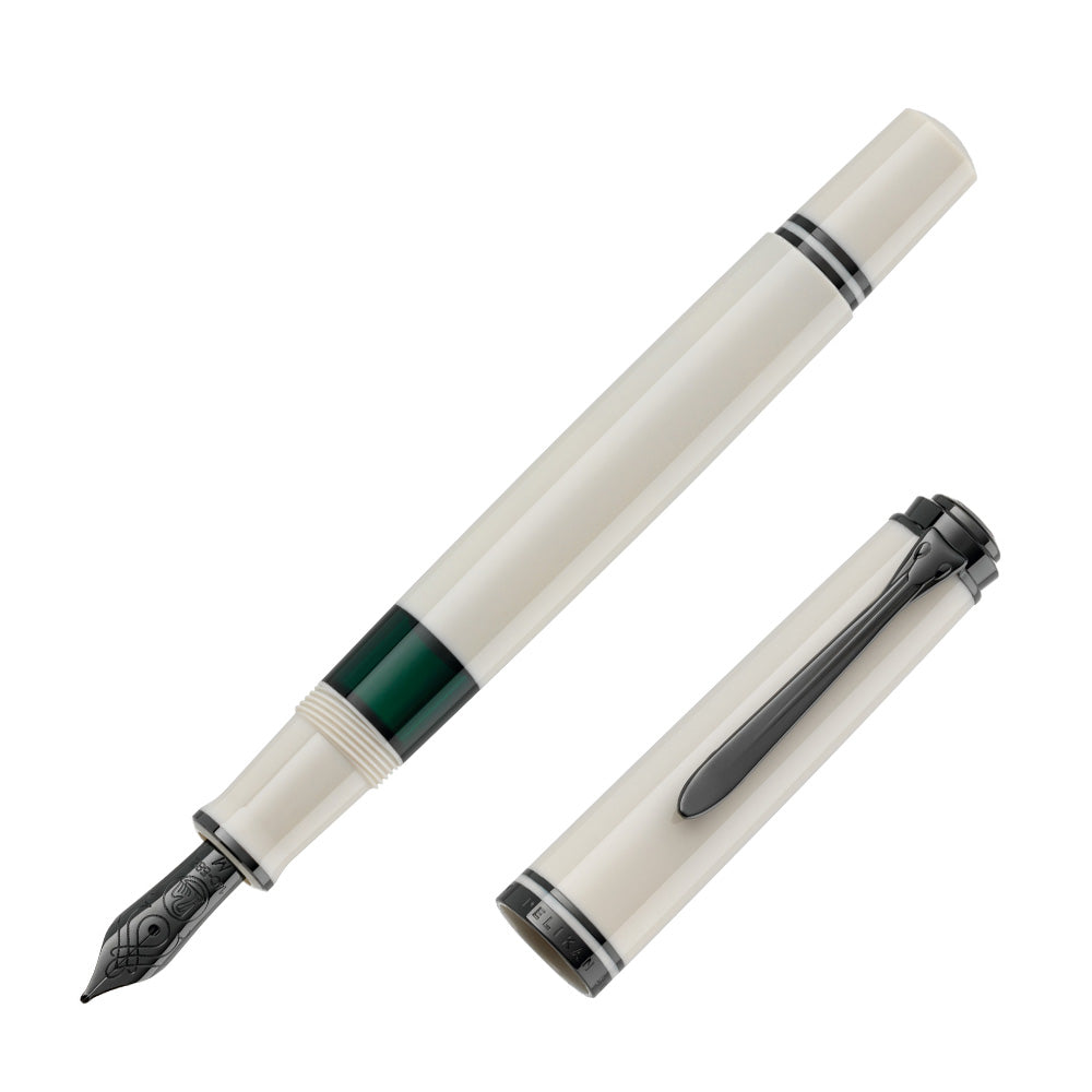 Pelikan Souveran M670 Fountain Pen Warm Grey Special Edition