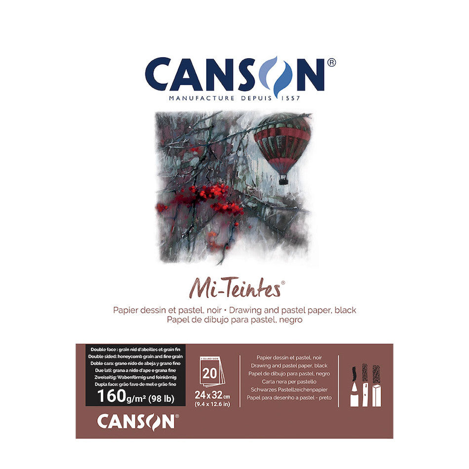 Canson Mi-Teintes Pad 24 x 32 by Canson at Cult Pens