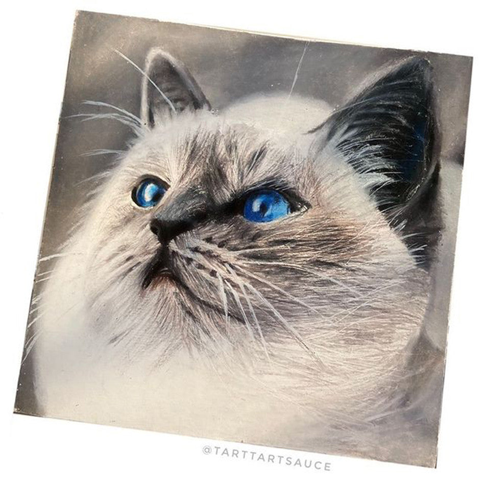 Derwent Chromaflow Coloured Pencils Tin of 24 by Derwent at Cult Pens