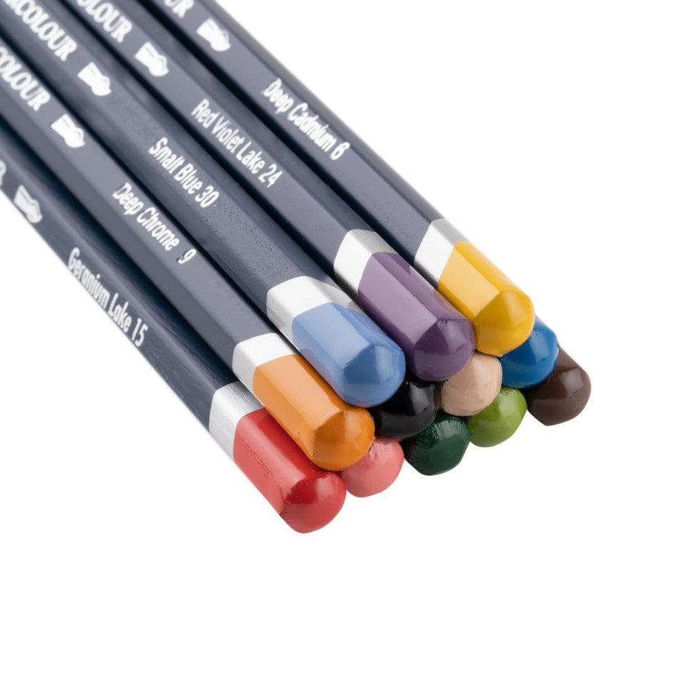 Derwent National Trust Watercolour Pencils Tin of 12 by Derwent at Cult Pens