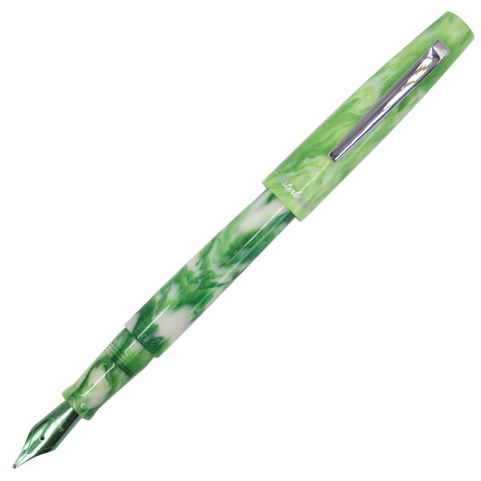 Esterbrook Camden Fountain Pen Northern Lights Limited Edition Icelandic Green by Esterbrook at Cult Pens