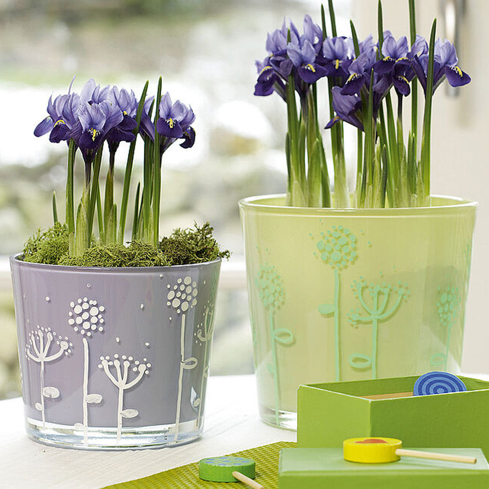 edding 4095 Chalk Marker Assorted Set of 5 by edding at Cult Pens