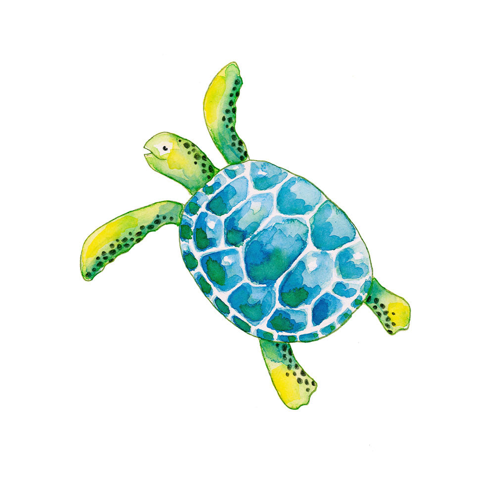 Faber-Castell Watercolour Pencil + Brush Set of 12 by Faber-Castell at Cult Pens