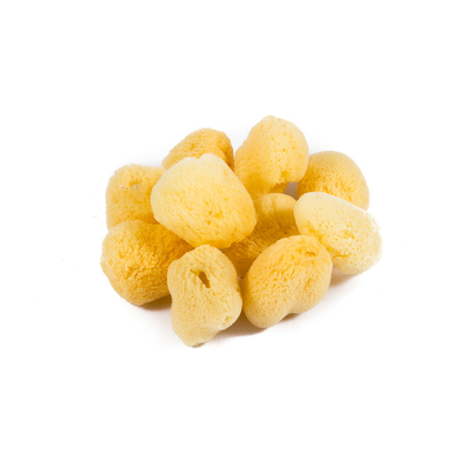 Jakar Natural Sea Sponge Set of 10 by Jakar at Cult Pens