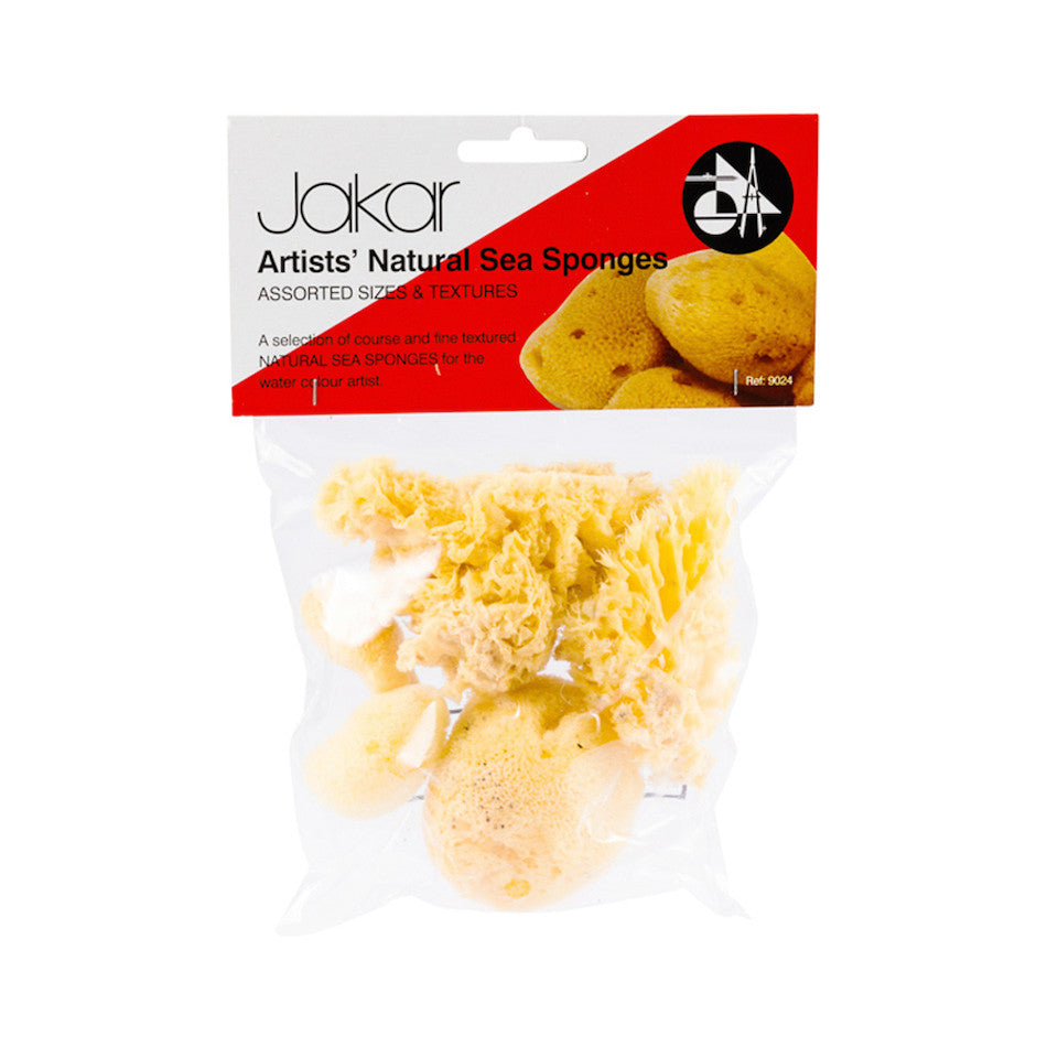Jakar Natural Sea Sponge Assorted Set of 6 by Jakar at Cult Pens