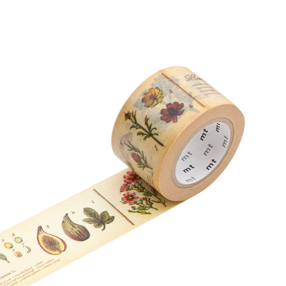 mt Washi Masking Tape 30mm x 7m Encyclopedia / Plant by mt at Cult Pens