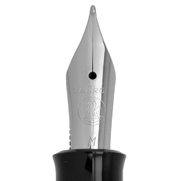 Pelikan Classic M205 Blue Marbled Fountain Pen by Pelikan at Cult Pens