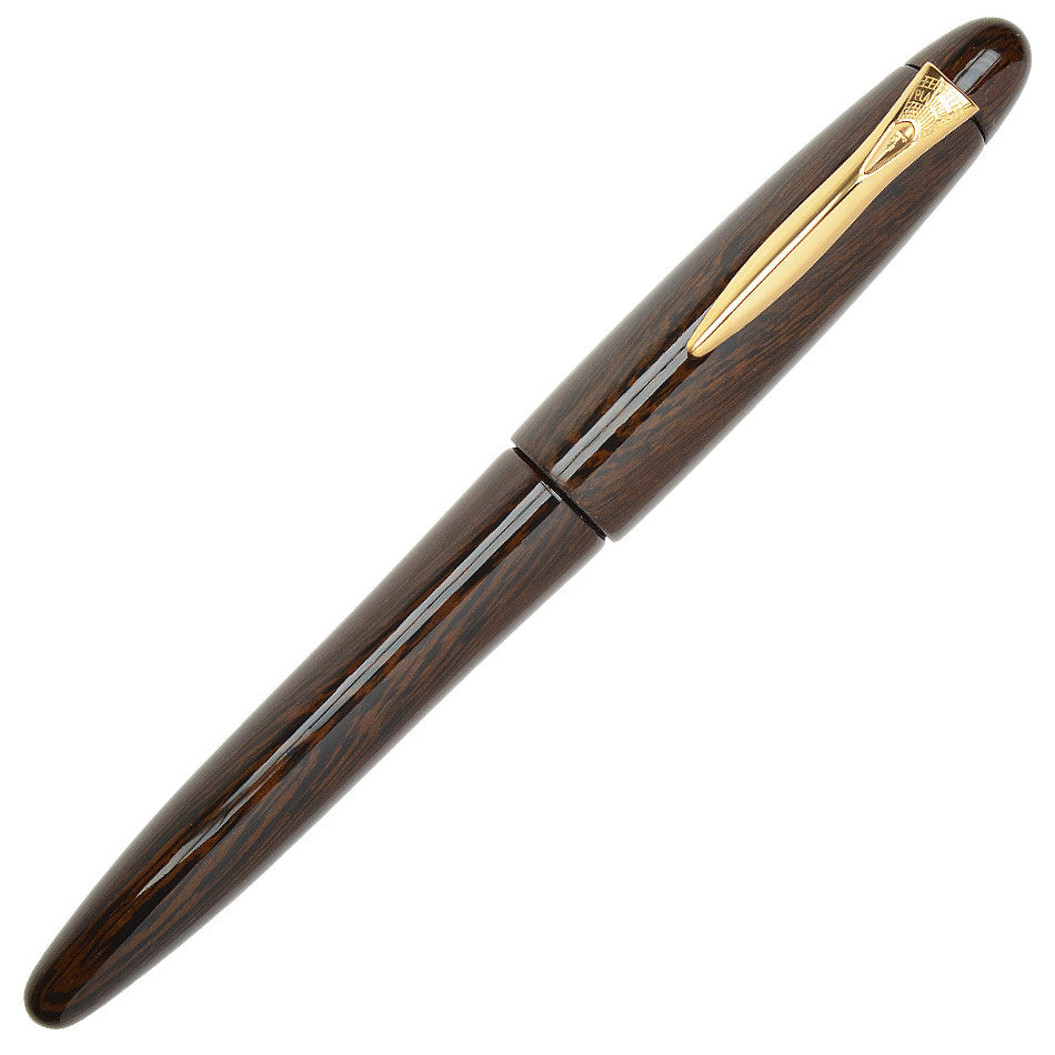Platinum Izumo Gloss Tagayasan Fountain Pen by Platinum at Cult Pens