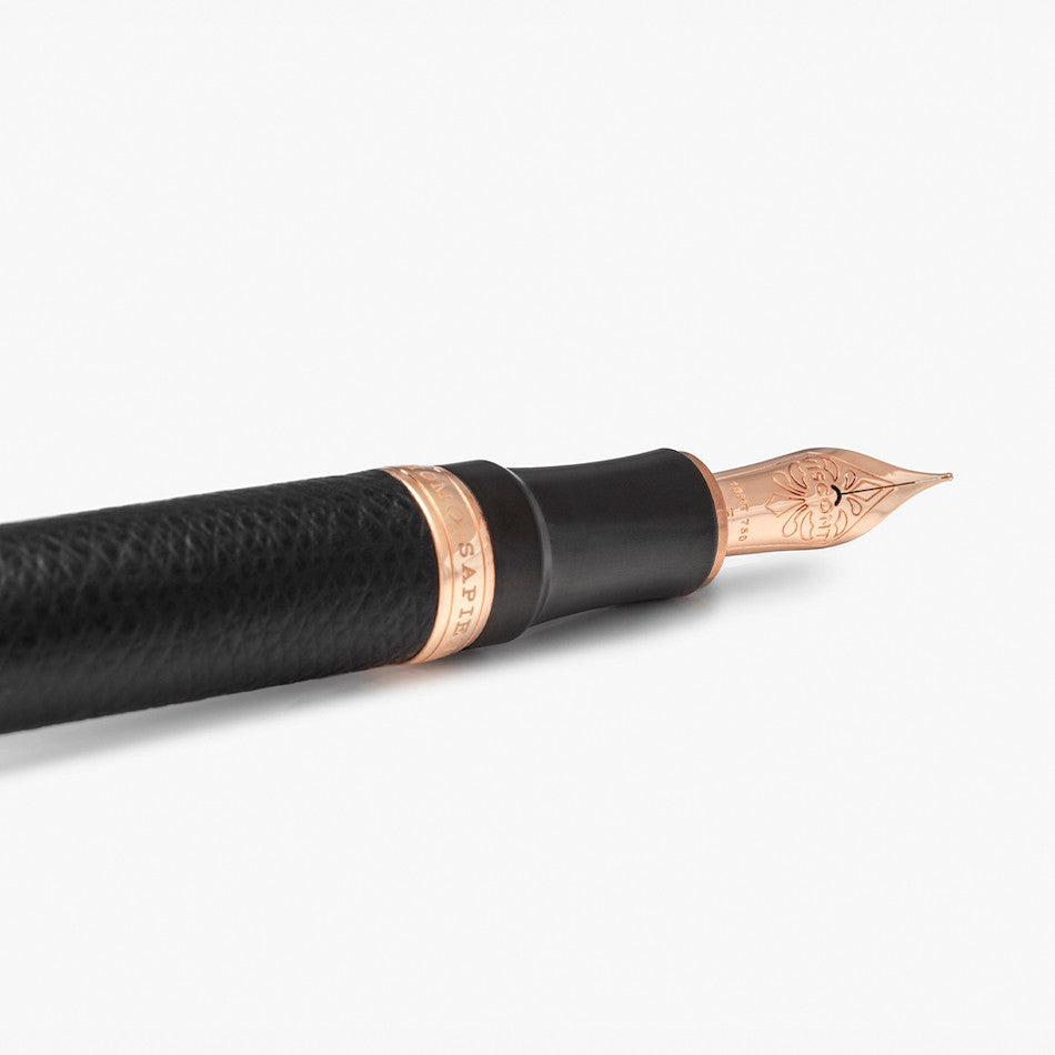 Visconti Homo Sapiens Dual Touch Fountain Pen Black by Visconti at Cult Pens