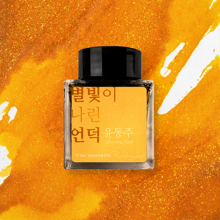 Wearingeul Yun Dong Ju Literature Fountain Pen Ink 30ml by Wearingeul at Cult Pens