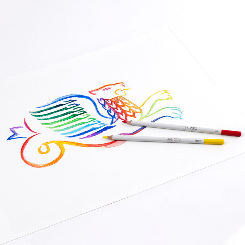 Winsor & Newton Studio Collection Watercolour Pencils Assorted Tin of 24 by Winsor & Newton at Cult Pens