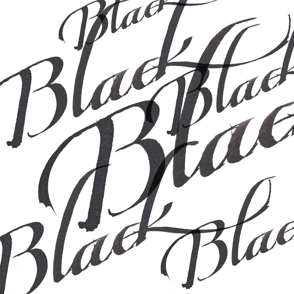 Winsor & Newton Calligraphy Ink 30ml by Winsor & Newton at Cult Pens