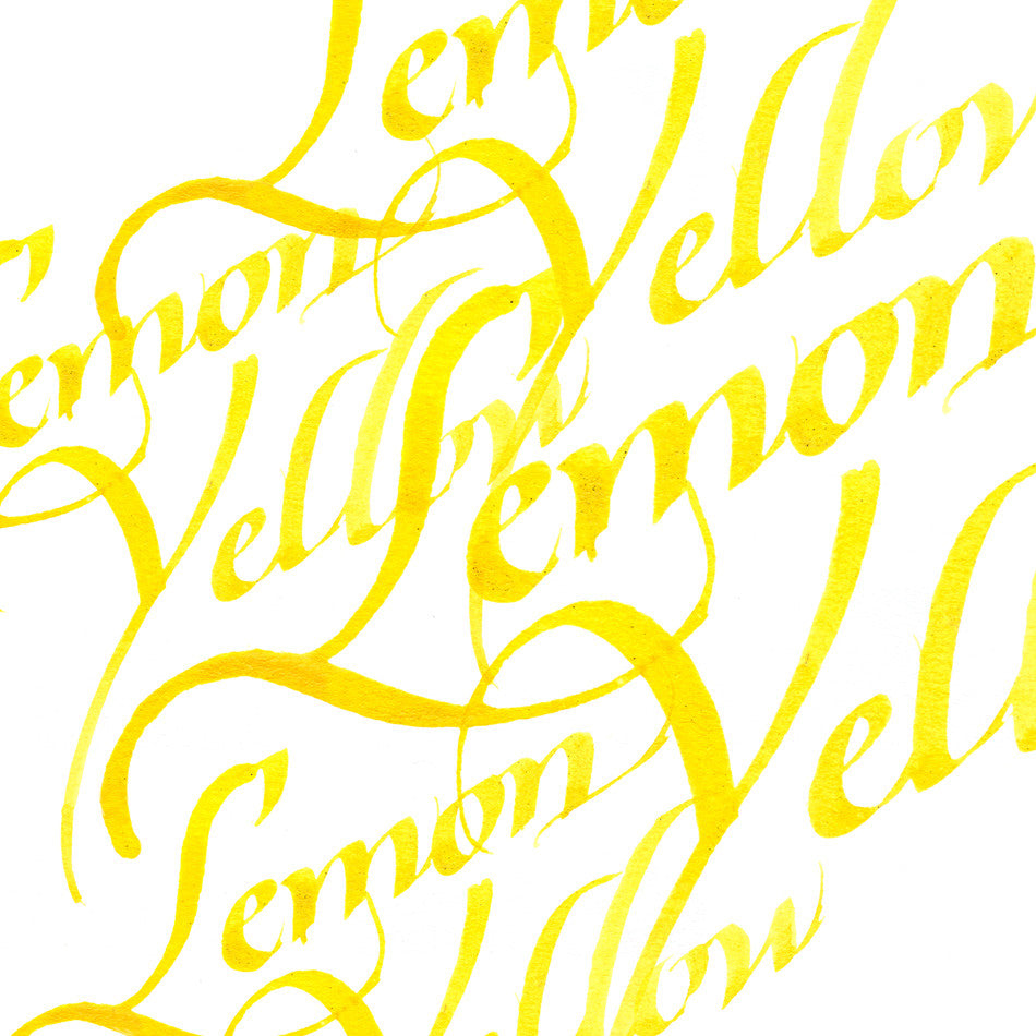 Winsor & Newton Calligraphy Ink 30ml by Winsor & Newton at Cult Pens