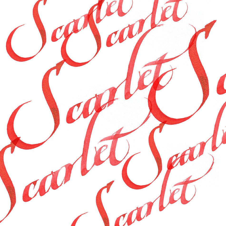 Winsor & Newton Calligraphy Ink 30ml by Winsor & Newton at Cult Pens