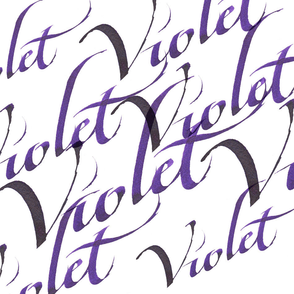 Winsor & Newton Calligraphy Ink 30ml by Winsor & Newton at Cult Pens