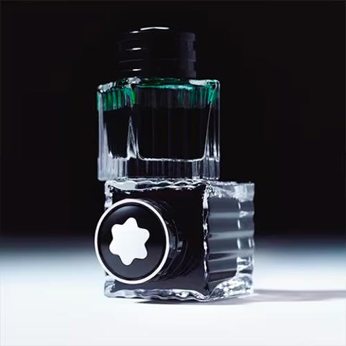 Fountain pen ink