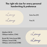 LAMY 2000 Fountain Pen