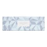 Caran d'Ache Alpine Frost Special Edition 849 Ballpoint Pen Blue