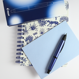 Pilot Capless Fountain Pen Stainless Blue
