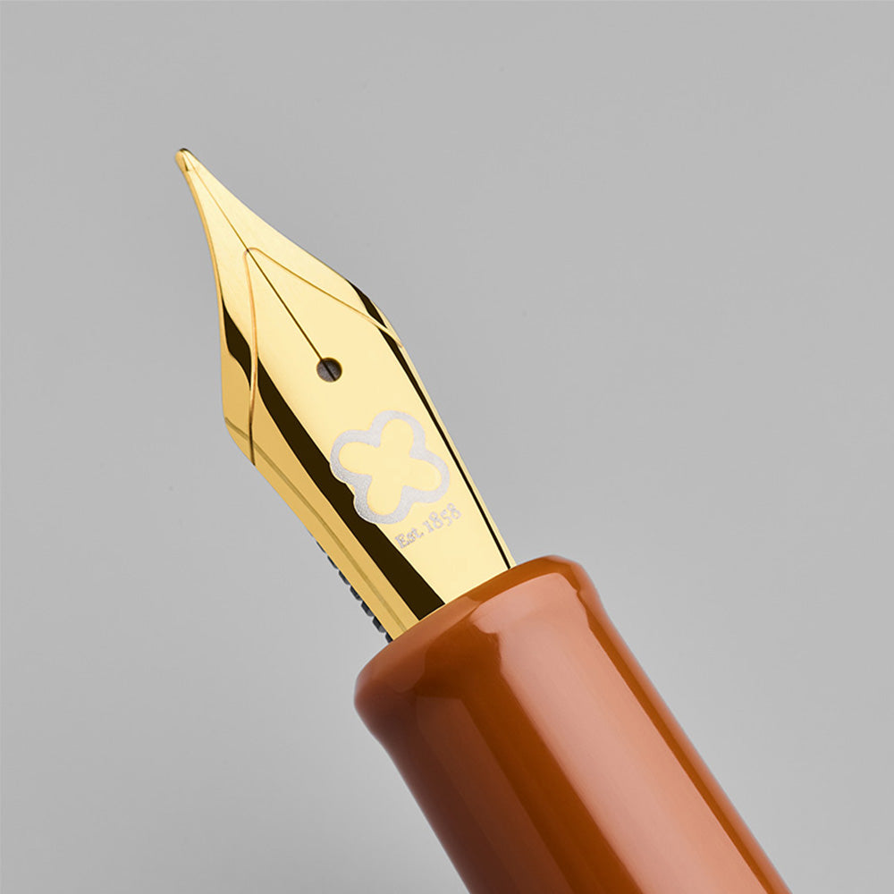 Esterbrook Estie Back to the Land Fountain Pen Incredible Rock Piston Filler