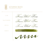 Ferris Wheel Press Calligraphy Ink 28ml Juniper Moss