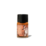 Ferris Wheel Press Ferritales Fountain Pen Ink 10ml The Rise of Embers