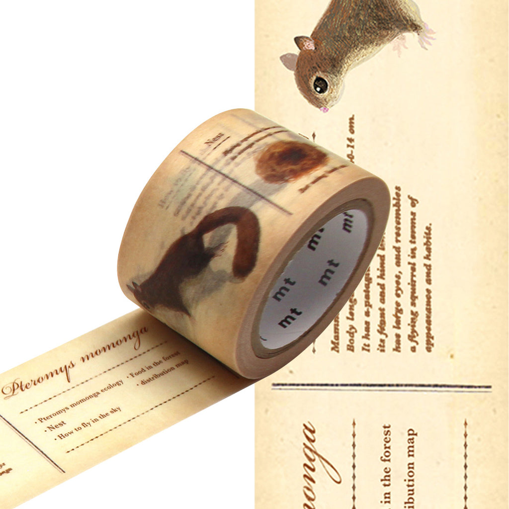 mt Washi Masking Tape - 30mm x 7m - Encyclopedia Flying Squirrel by mt at Cult Pens