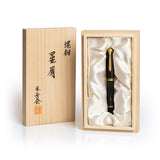 Pelikan Souveran M1000 Fountain Pen Raden Stardust Limited Edition