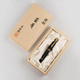 Pelikan Souveran M1000 Fountain Pen Raden Stardust Limited Edition